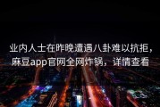业内人士在昨晚遭遇八卦难以抗拒，麻豆app官网全网炸锅，详情查看