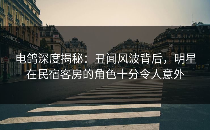 电鸽深度揭秘：丑闻风波背后，明星在民宿客房的角色十分令人意外