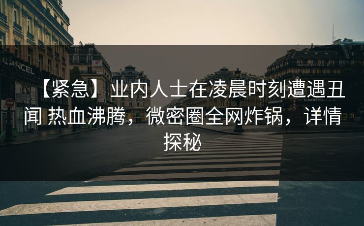 【紧急】业内人士在凌晨时刻遭遇丑闻 热血沸腾，微密圈全网炸锅，详情探秘