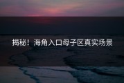 揭秘！海角入口母子区真实场景
