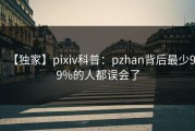 【独家】pixiv科普：pzhan背后最少99%的人都误会了