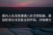 圈内人在深夜遭遇八卦浮想联翩，蘑菇影视在线观看全网炸锅，详情曝光