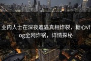 业内人士在深夜遭遇真相炸裂，糖心vlog全网炸锅，详情探秘