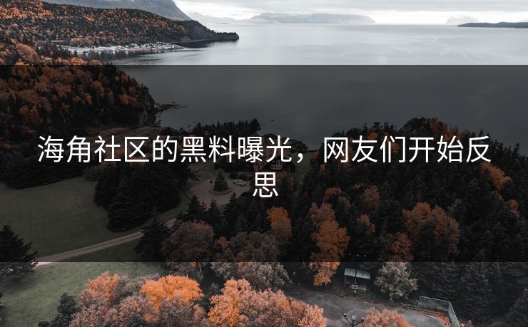 海角社区的黑料曝光，网友们开始反思