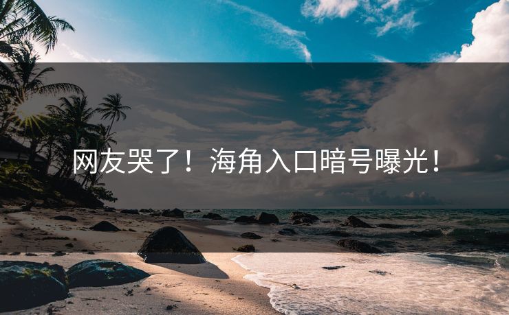 网友哭了！海角入口暗号曝光！