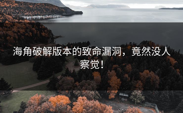 海角破解版本的致命漏洞，竟然没人察觉！