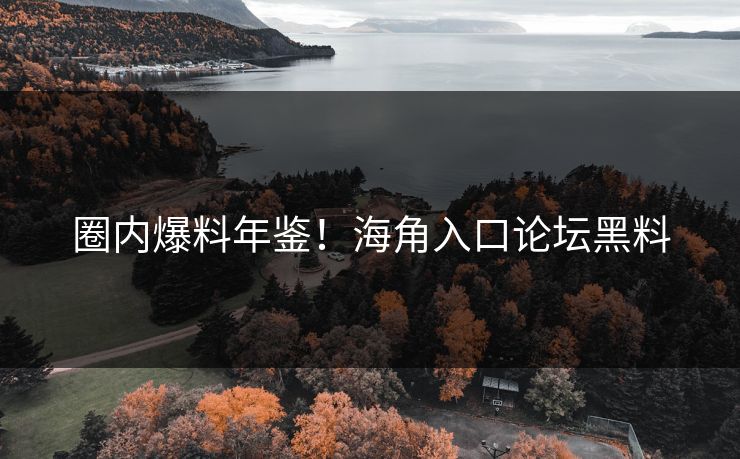 圈内爆料年鉴！海角入口论坛黑料