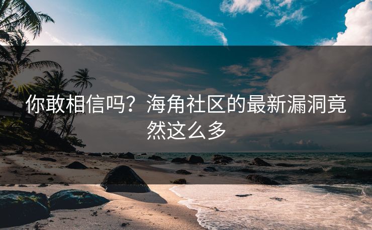 你敢相信吗？海角社区的最新漏洞竟然这么多