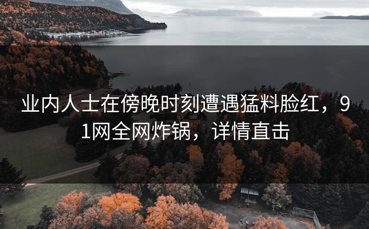业内人士在傍晚时刻遭遇猛料脸红，91网全网炸锅，详情直击