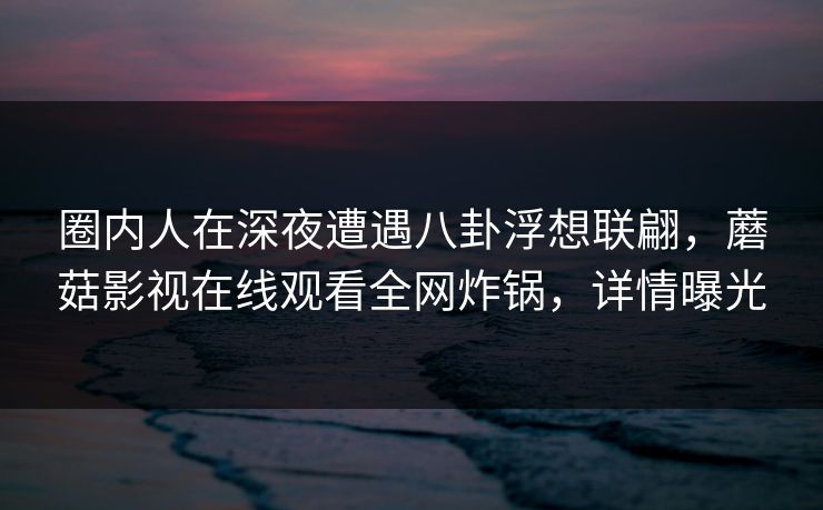圈内人在深夜遭遇八卦浮想联翩，蘑菇影视在线观看全网炸锅，详情曝光