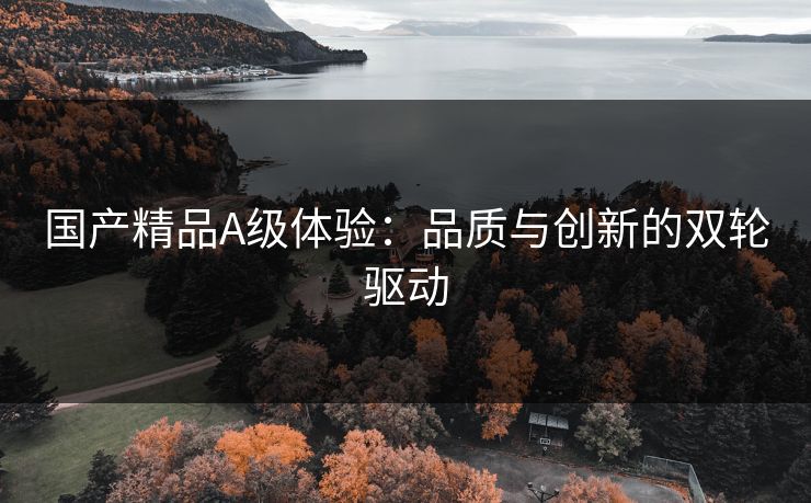 国产精品A级体验：品质与创新的双轮驱动